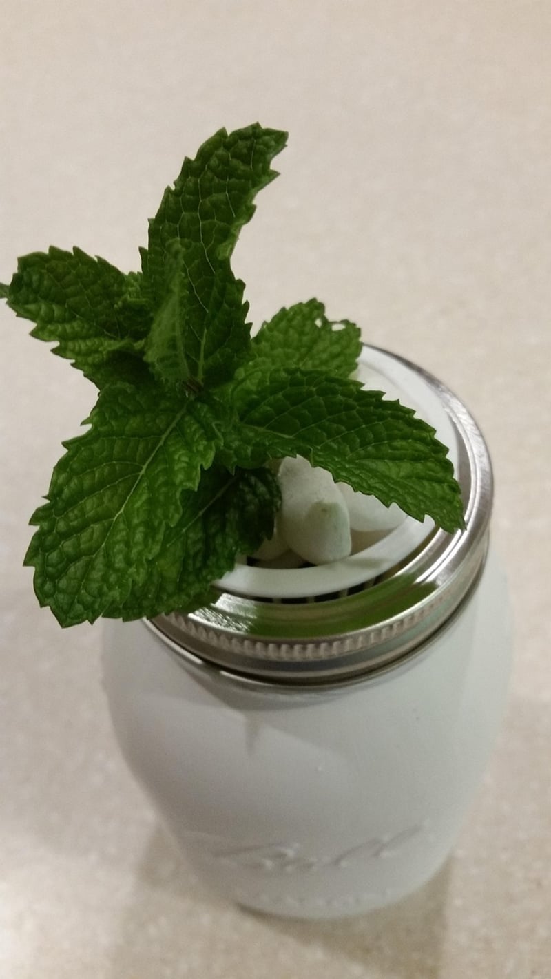 Mason Jar Herb Planters